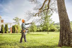 How Our Tree Care Process Works  in  Aberdeen, ID