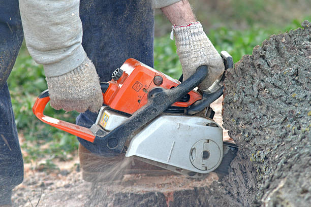 Mulching Services in Aberdeen, ID